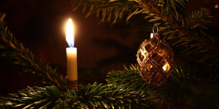 Auf dem Foto ist der Zweig eines Weihnachtsbaums mit brennender Bienenwachskerze zu sehen. 